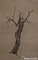 VBS_4867 - Mostra Escher